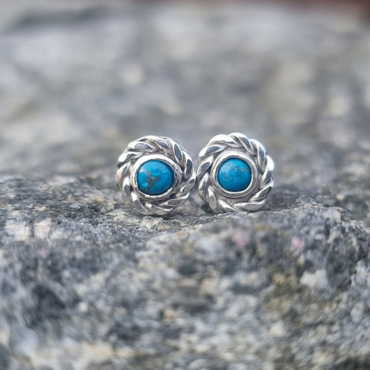 Tvunnet turkis øredobber