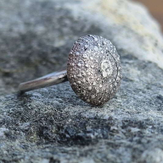 Kråkebolle ring i sølv