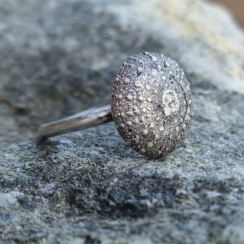 Kråkebolle ring i sølv