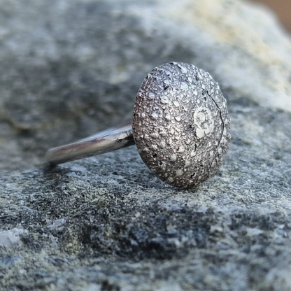 Kråkebolle ring i sølv