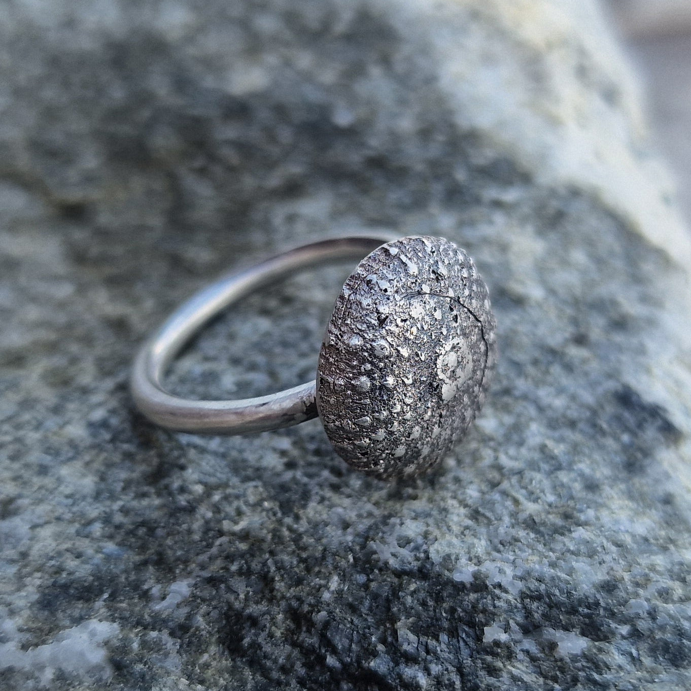 Kråkebolle ring i sølv