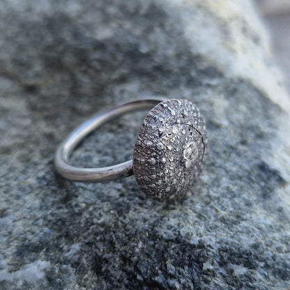Kråkebolle ring i sølv