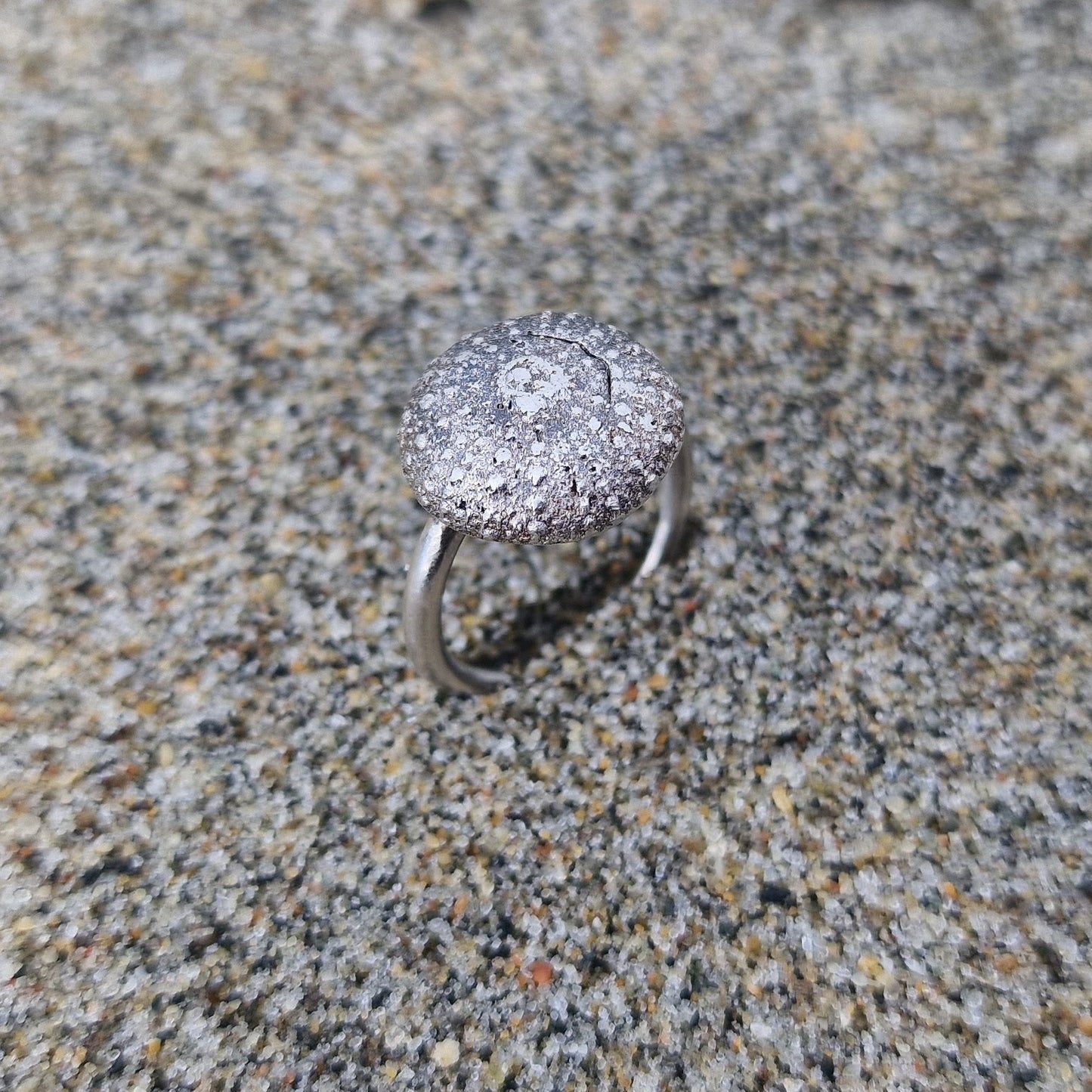 Kråkebolle ring i sølv