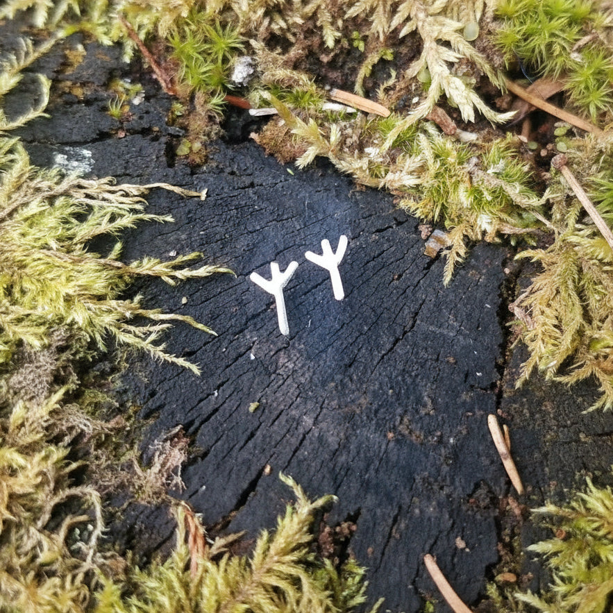 Algiz - Rune fra eldre futhark i sølv